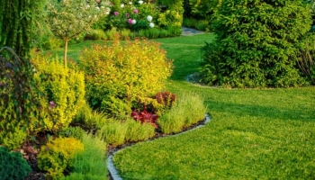 Come Disporre le Piante in Giardino: Le 10 Regole d’Oro!